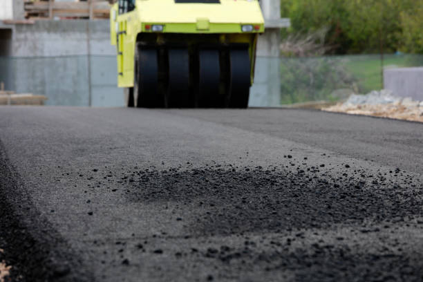 Best Professional Driveway Pavers  in Placitas, NM