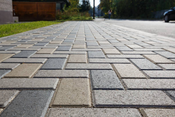 Best Custom Driveway Pavers  in Placitas, NM